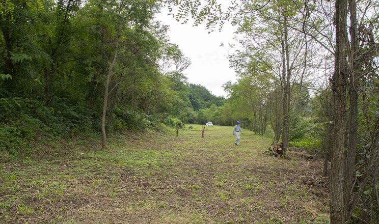 尾瀬高原キャンプ場