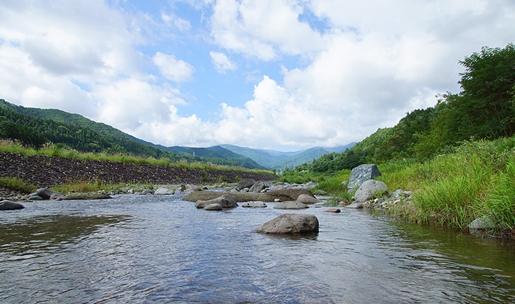 尾瀬高原キャンプ場